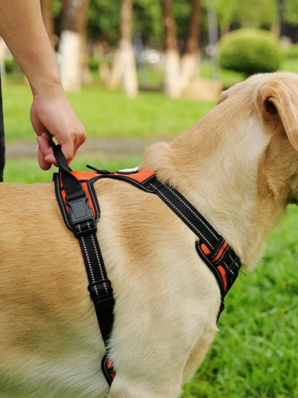 Adjustable Soft Dog Harness with Handle, Reflective Collar & 6FT Leash Set